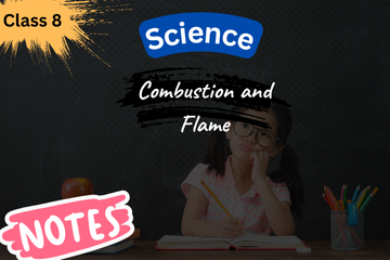 Combustion and Flame