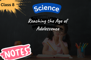 Reaching The Age of Adolescence