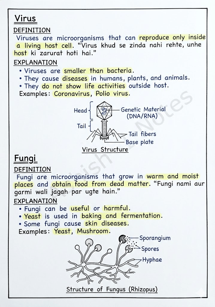 image 19 handwritten notes