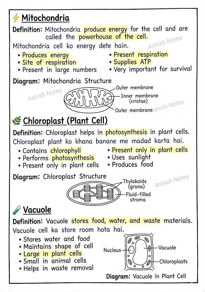 Cell – Structure and Functions Class 8 Notes