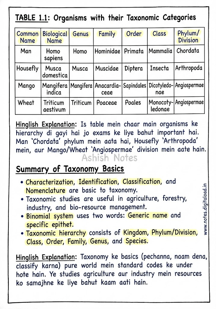 image 99 handwritten notes